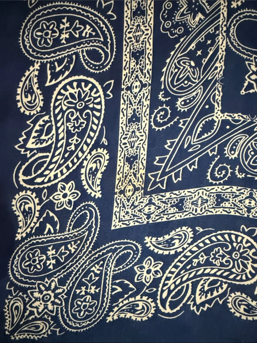 Source Unknown blue paisley
